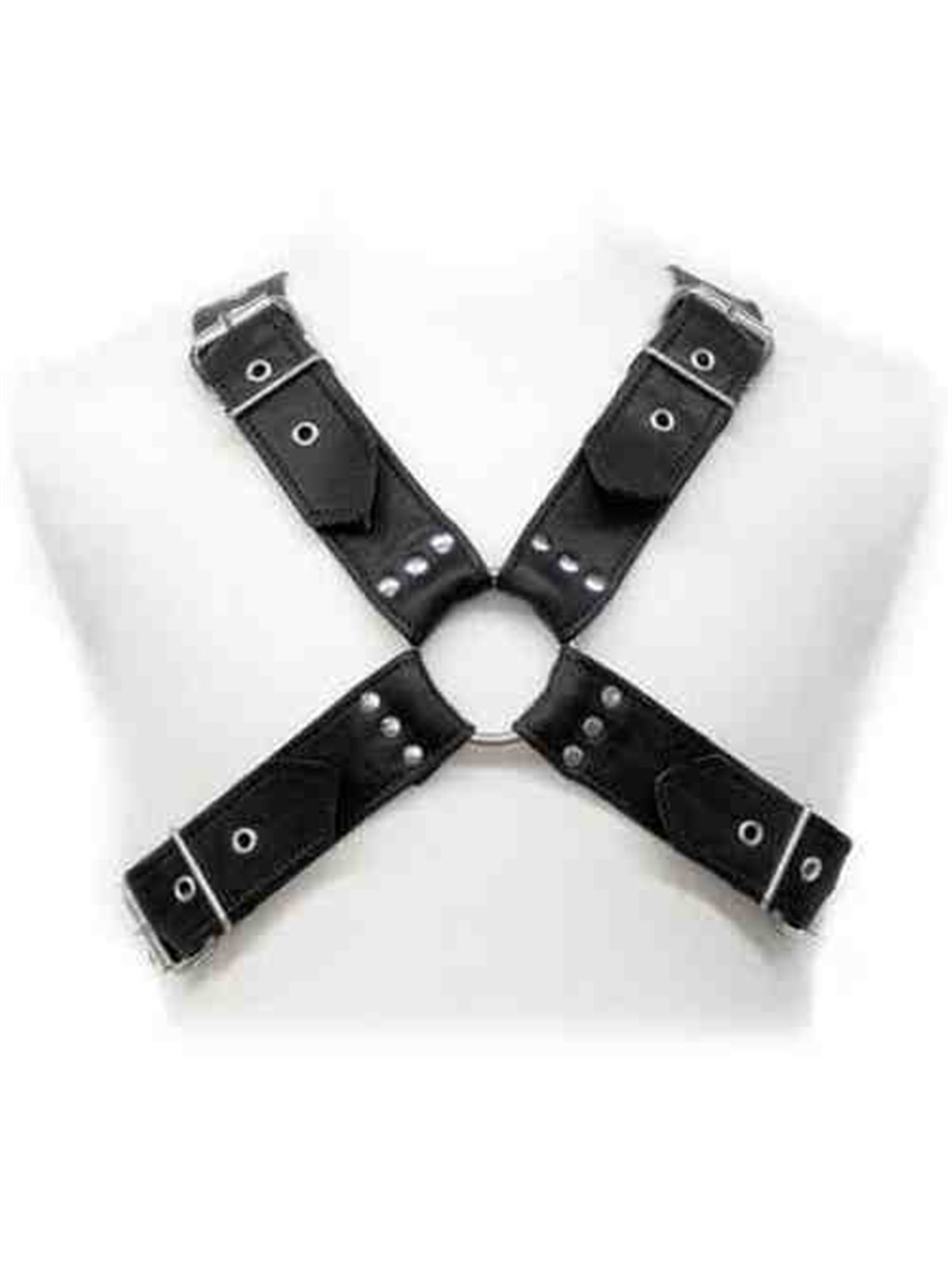 Leather Body - Buckles Harness